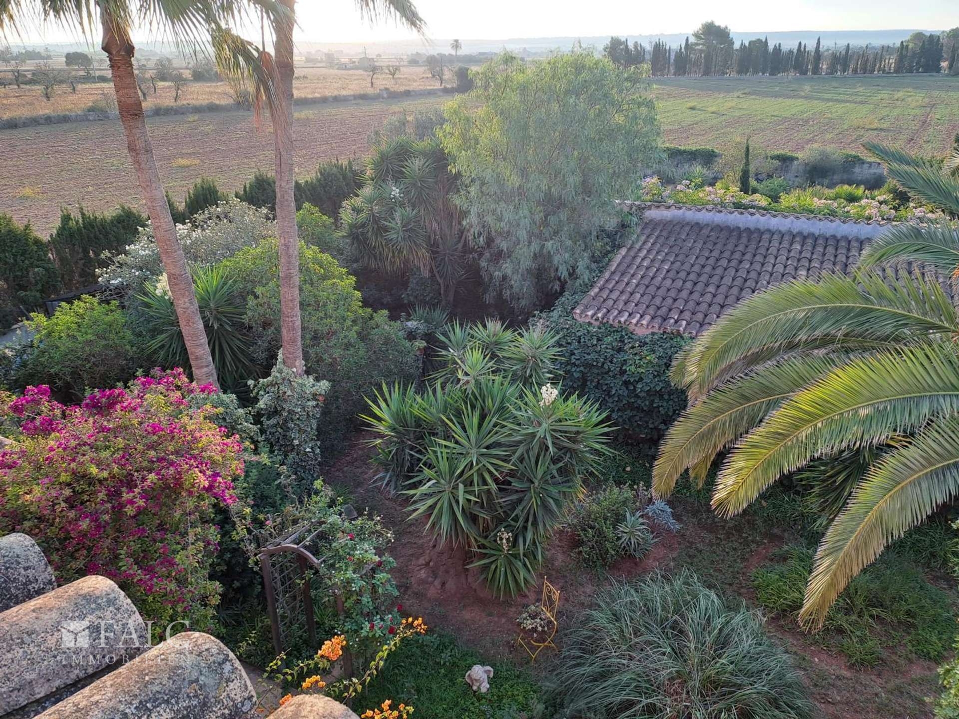 Finca Campos Blick Garten